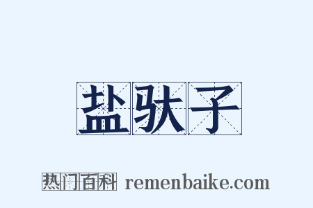 盐驮子是什么意思的图片